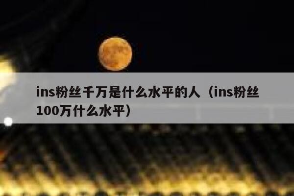 ins粉丝千万是什么水平的人（ins粉丝100万什么水平） 第1张