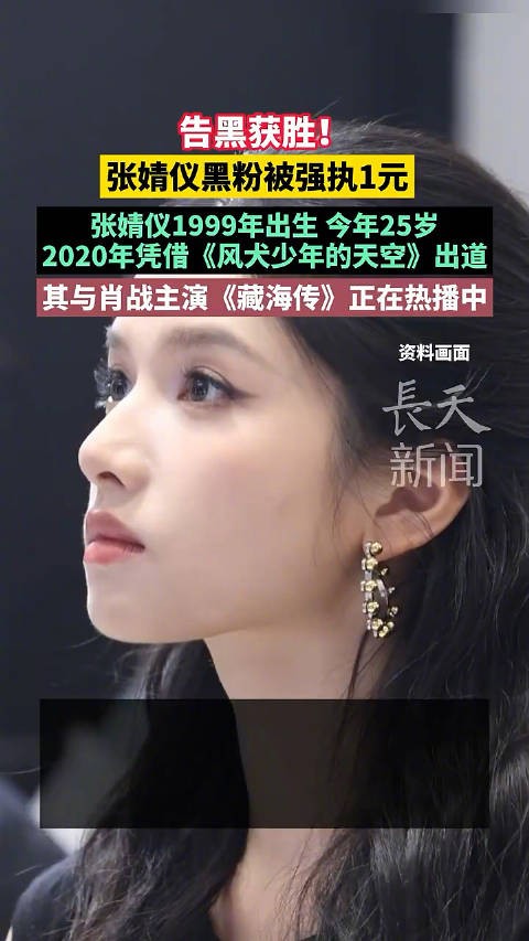 告黑获胜！张婧仪黑粉被强执1元
