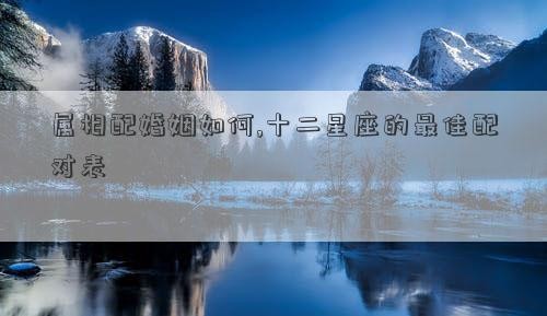 属相配婚姻如何,十二星座的最佳配对表