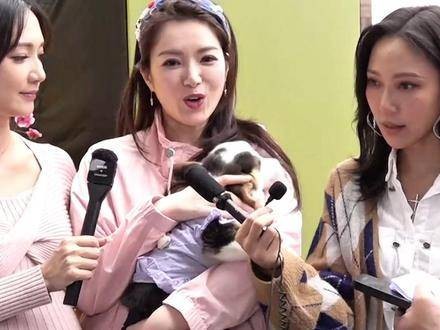 TVB前女星苟芸慧宣告离婚，笑容满面地表示：“我现在非常自由”