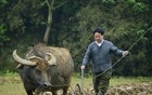 南昌市市长：宁肯得罪省长，也不能得罪副省长