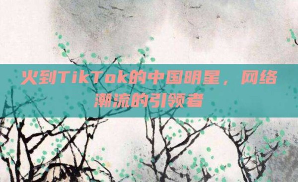 火到TikTok的中国明星,网络潮流的引领者