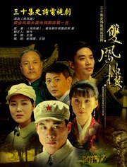 何琳演过的电视剧