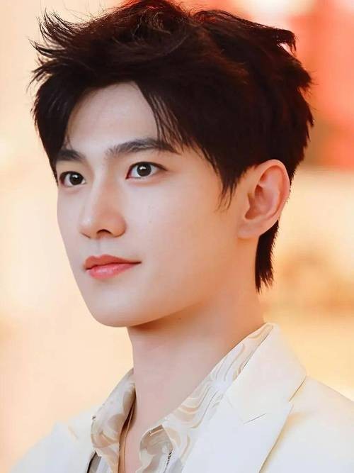 内娱男明星