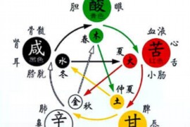 星空下的缘分，十二星座配对大揭秘