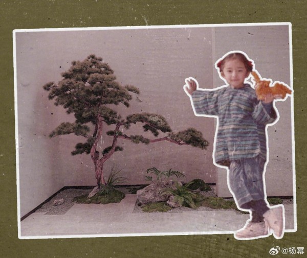 杨幂晒罕见童年对比照反驳整容的传闻