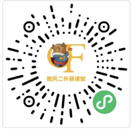 偶像解读