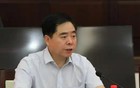 王泽平，被查