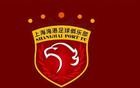 海港夏窗锁定后腰强援，前场外援面临清洗