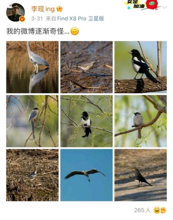 官方回应李现拍鸟成公务员省考面试题 明星效应助力生态保护