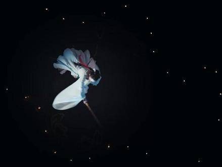 笑中带刀,刀锋含笑,在刀光剑影之中,藏不住的是 对彼此的心动