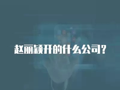 赵丽颖开的什么公司？