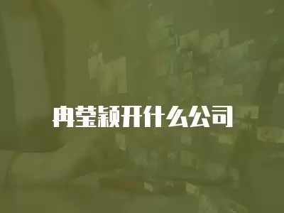 冉莹颖开什么公司