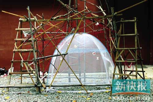 ■艺术家胜木繁昌的“树屋”为观众准备了网络纵横交错的土电话，这就好比是信息化社会的缩影。