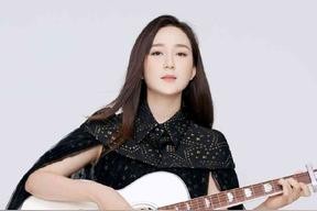 龙梅子
