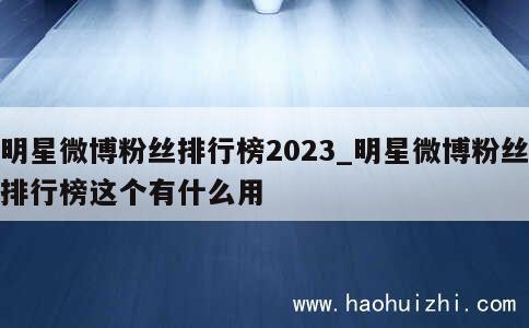 明星微博粉丝排行榜2023