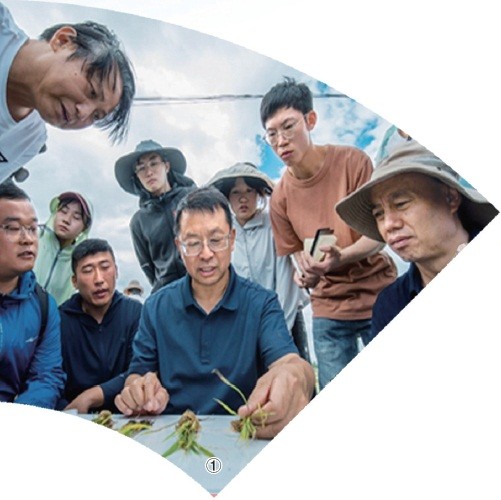 以科技创新之光照亮农业未来