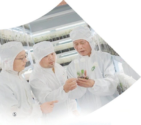 以科技创新之光照亮农业未来