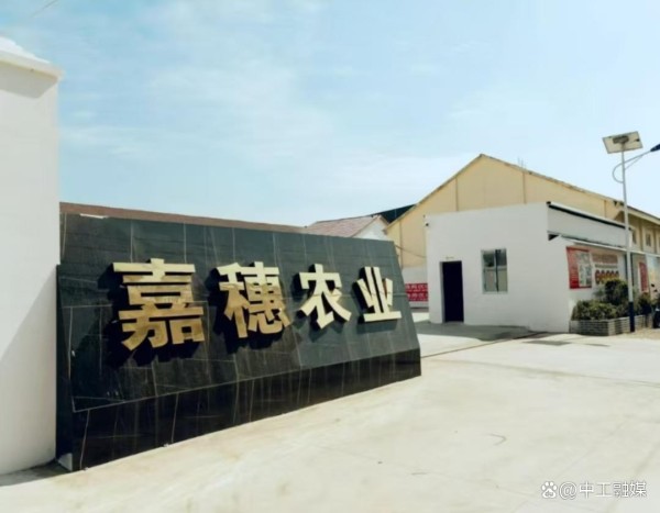 湖北嘉穗农业：创新驱动农业现代化 谱写京山乡村振兴新篇章