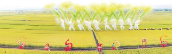 以科技创新之光照亮农业未来