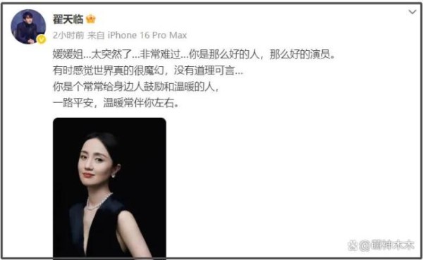 翟天临悼念朱媛媛时回怼网友 知网风波再引争议