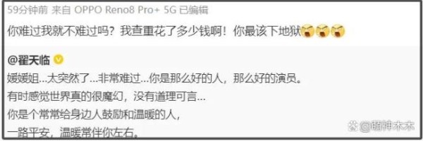 翟天临悼念朱媛媛时回怼网友 知网风波再引争议