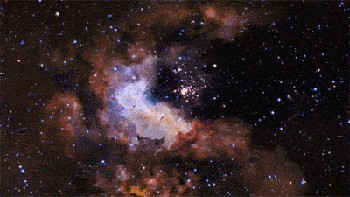 蒋勋：事实上，星座对你的影响深远