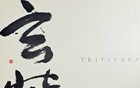 有史以来最稀有的电子游戏之一终于上传到网络保存
