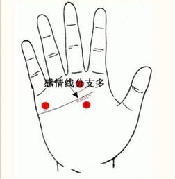 生肖星座专属：揭秘女性感情线图解大全
