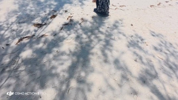 小蛋糕从马来西亚发来了一则<a target=