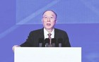 黄奇帆谈十五五