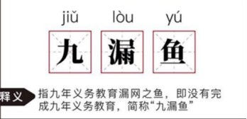 娱乐圈学霸盘点：不全是“九漏鱼”，优秀的人在泥泞中也能开出花