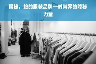 揭秘，蛇的服装品牌—时尚界的隐秘力量