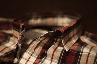 揭秘，蛇的服装品牌—时尚界的隐秘力量