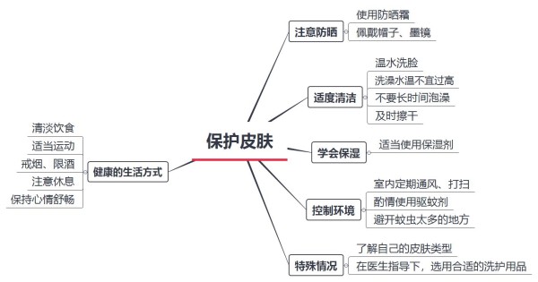 科学护肤（图片来源：作者自制）