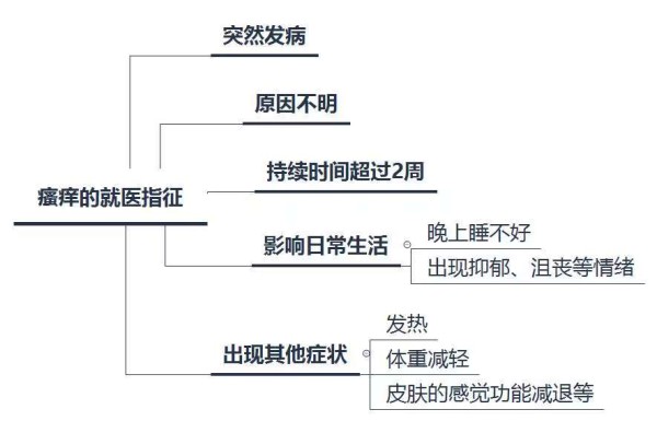 瘙痒的就医指征（图片来源：作者自制）
