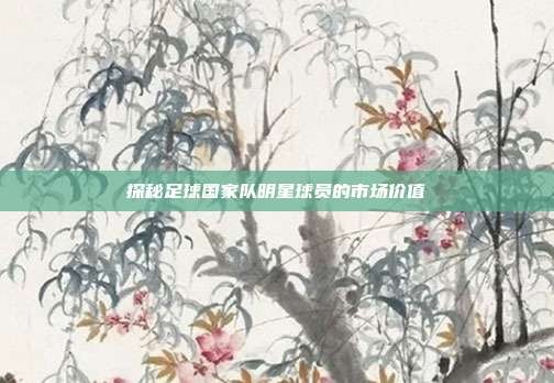 探秘足球国家队明星球员的市场价值