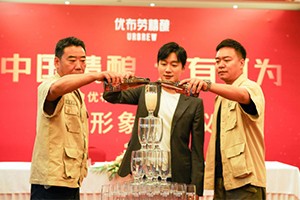 王耀庆代言今锦上 国内生鲜垂直电商品牌