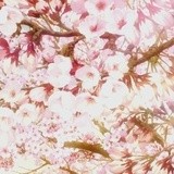 光剑奏鸣