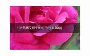 形容害怕陌生人的句子