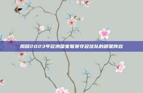 揭晓2023年欧洲国家联赛夺冠球队的明星阵容