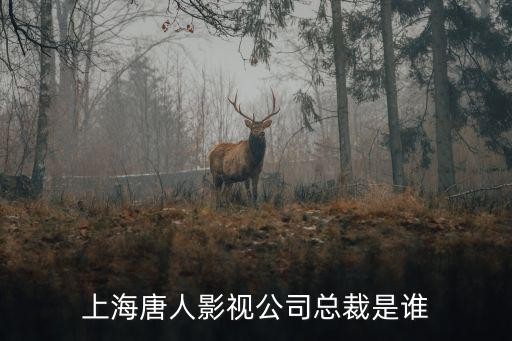 上海唐人电影制作有限公司，上海唐人影视公司总裁是谁