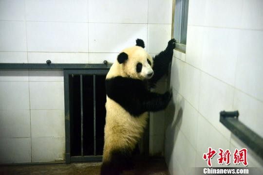 点击进入下一页