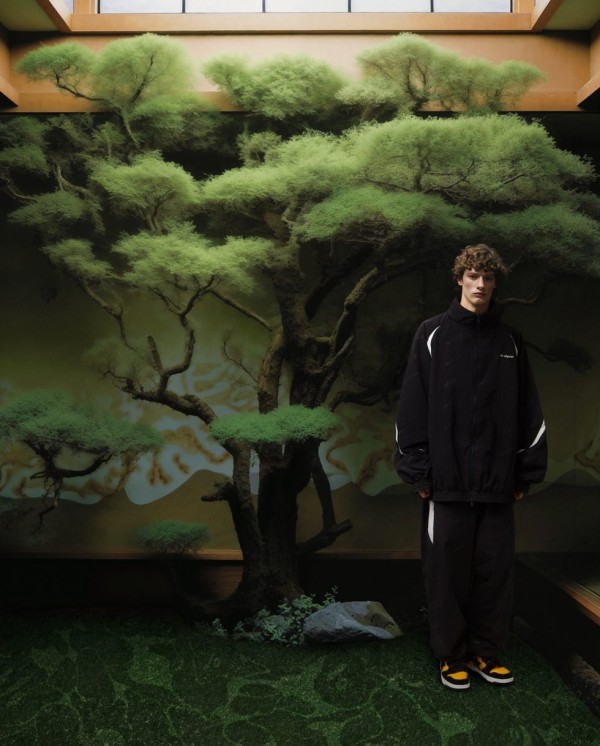 a bathing ape