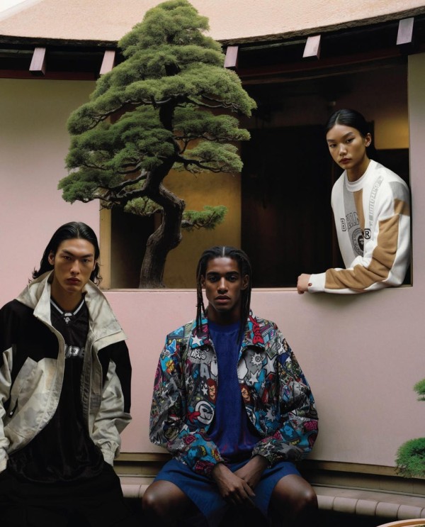 a bathing ape