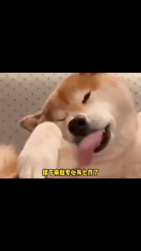 终于等到!许光汉7月正式退伍回归!