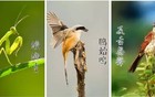 明天17时57分，正式进入！