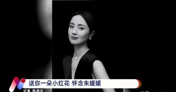 靳东亲密合影朱媛媛，辛柏青大方反应，夫妻32年恩爱秘诀揭秘
