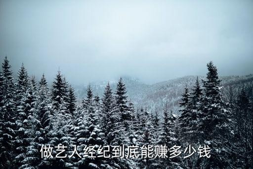 做艺人经纪到底能赚多少钱