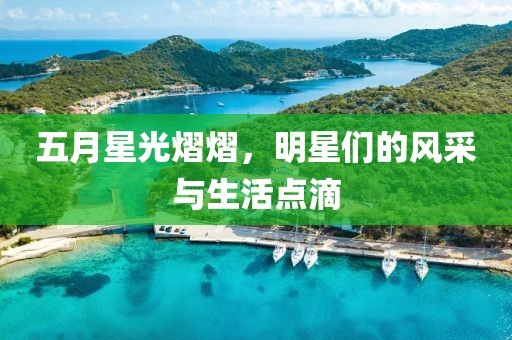 五月星光熠熠，明星们的风采与生活点滴
